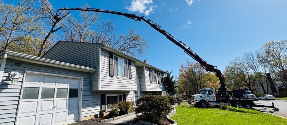 Crane-Assisted Tree Removal - Crown Tree Services professional equipment