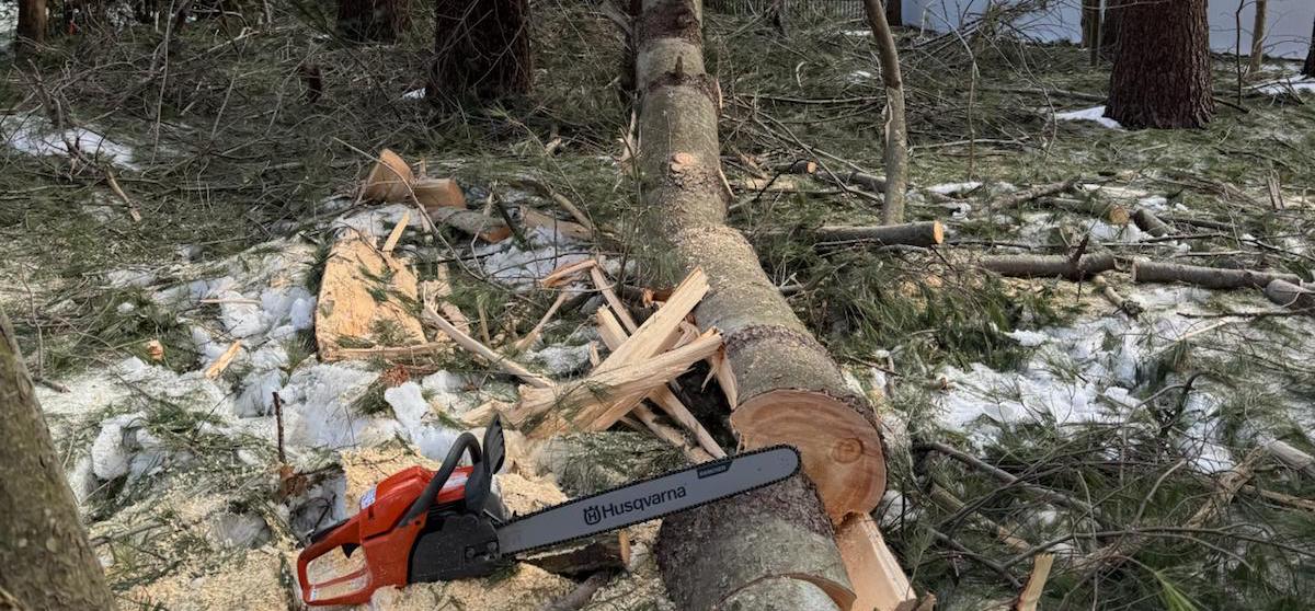 Emergency Storm Service - Crown Tree Services professional equipment