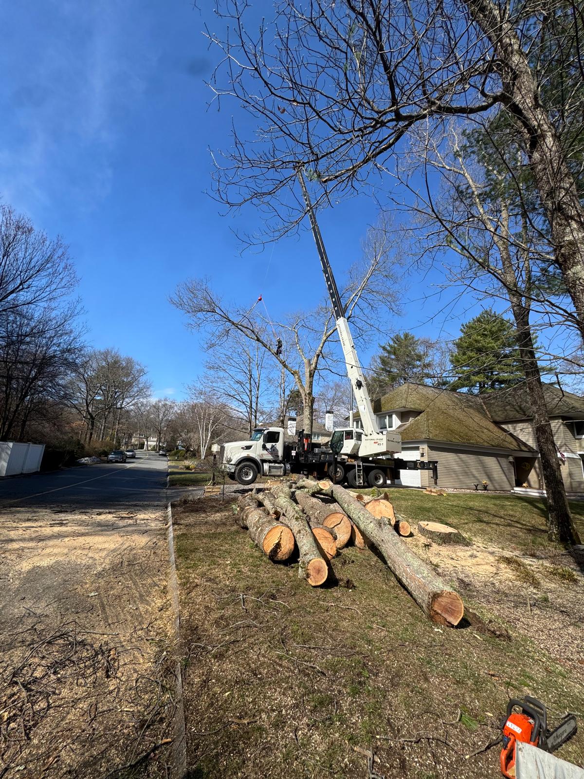 Crane Removal in Newton, MA - Crown Tree Services