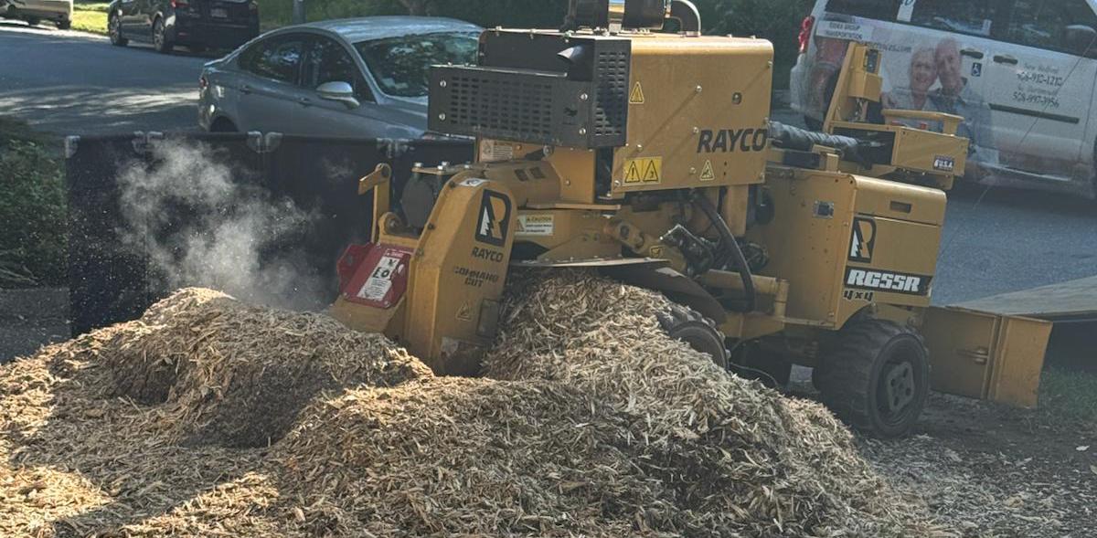 Stump Grinding and Removal - Crown Tree Services professional equipment