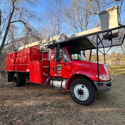 Crown Tree Services professional truck with aerial equipment